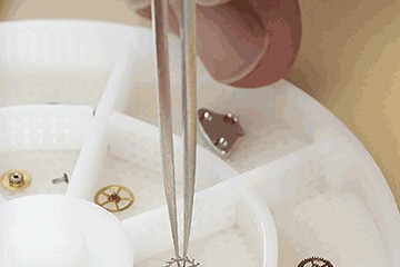 厦门劳力士换鳄鱼皮表带多少钱